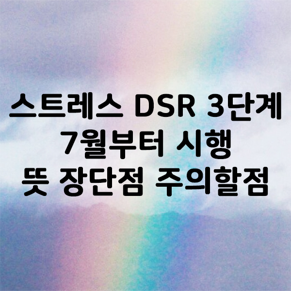 스트레스 DSR 3단계 7월 시행 뜻 장점 단점 주의할점 은행오픈런