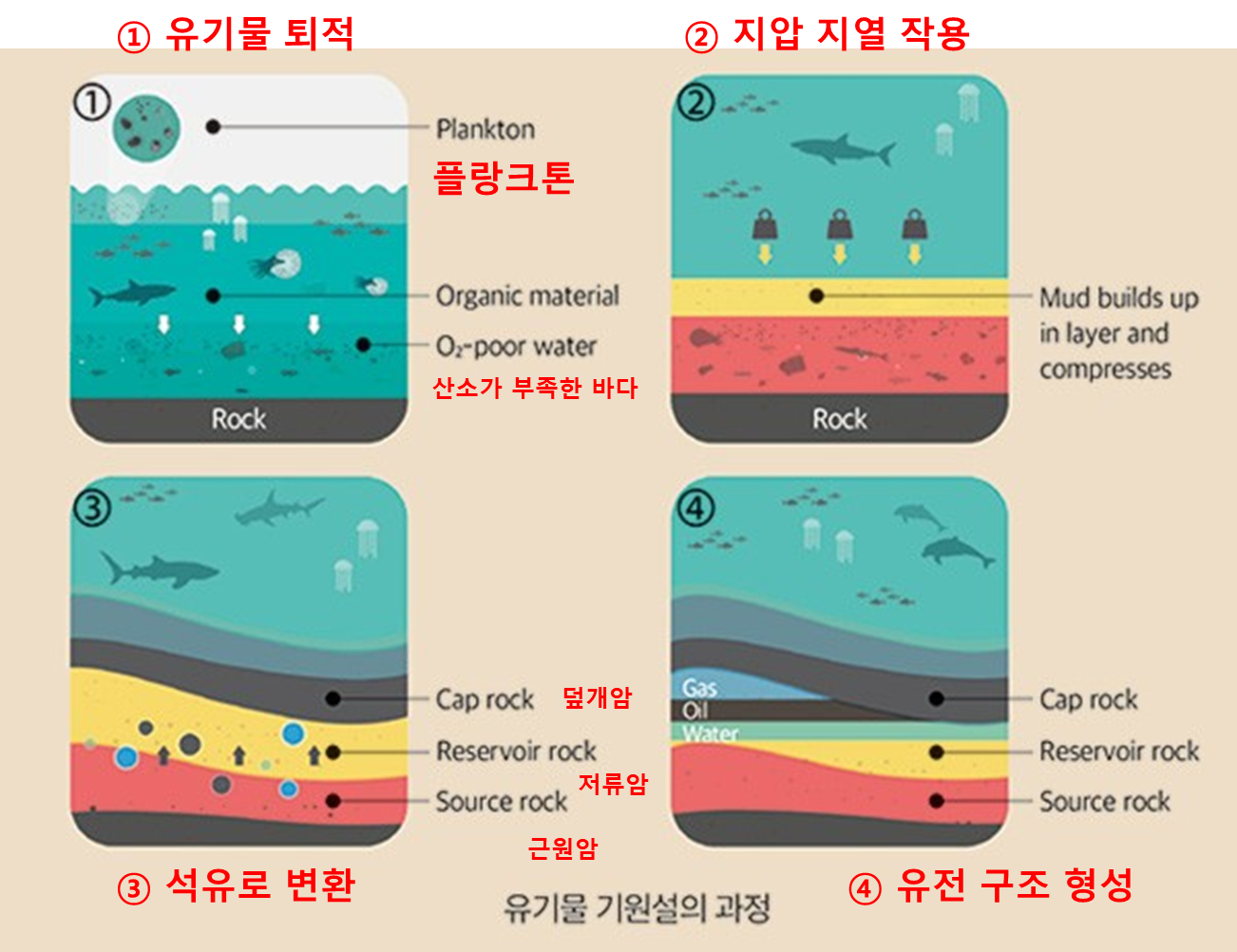 유기물기원설 기반의 석유 및 천연가스 생성 과정