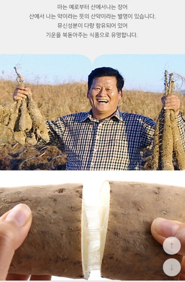 한국기행-진주-마-주문