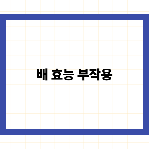 배 효능 부작용