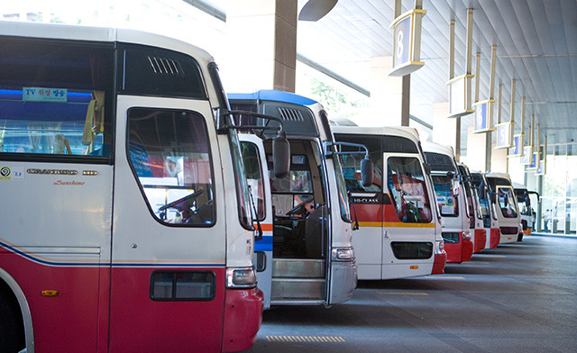 사천시 삼천포항 자연산 전어 완벽 가이드 &amp;#124; 2025년 여름 축제와 맛집 총정리