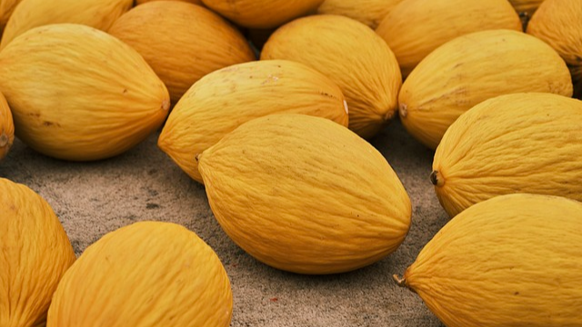 제천시, 이색 열대 과일 듸냐를 소득작목으로 선정했을까 사진