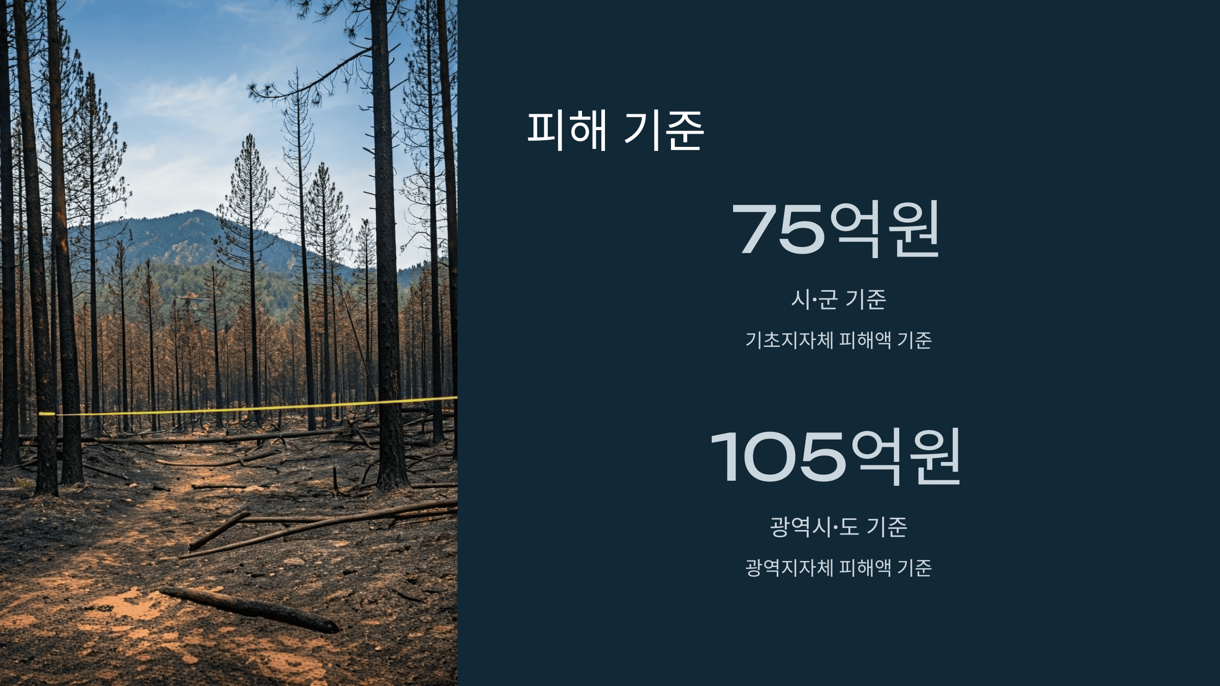 산불 특별재난지역 지정과 지원 총정리