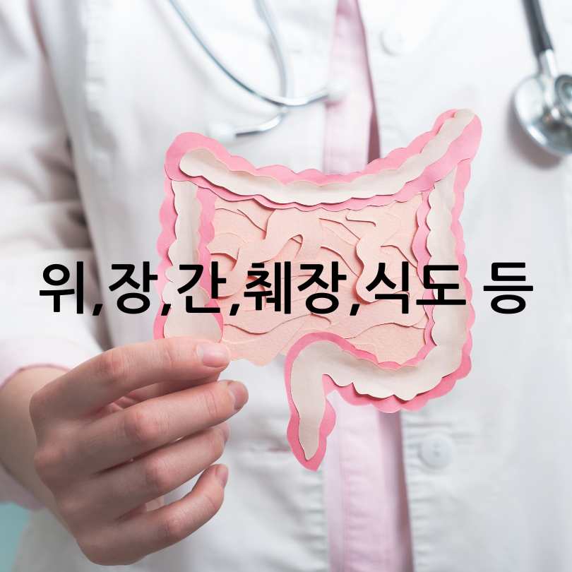 소화기내과 진료과목