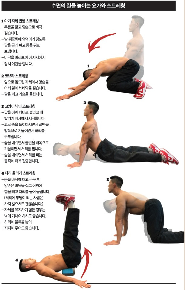 최신 수면 운동의 중요성(요가스트레칭,크런치운동,수면자세)