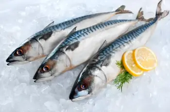 고등어 효능 및 가격, 영양소