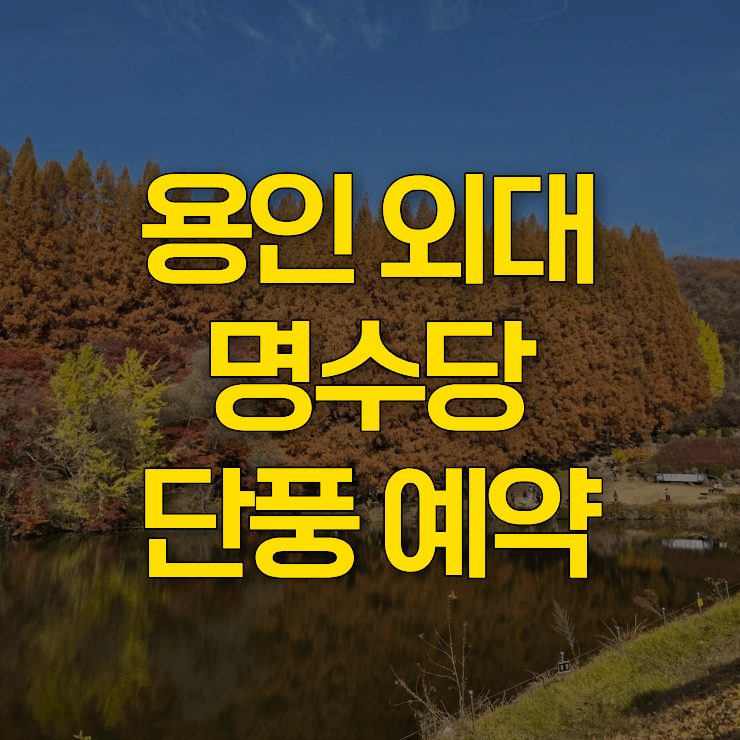 용인-외대-명수당-단풍-대표-사진