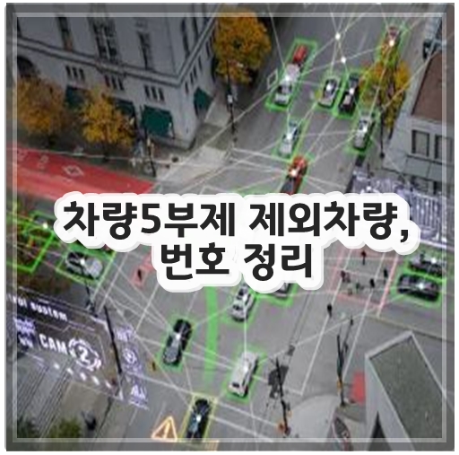 차량5부제 제외차량, 번호 정리