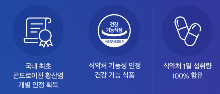 콘드로이친 1200 특징