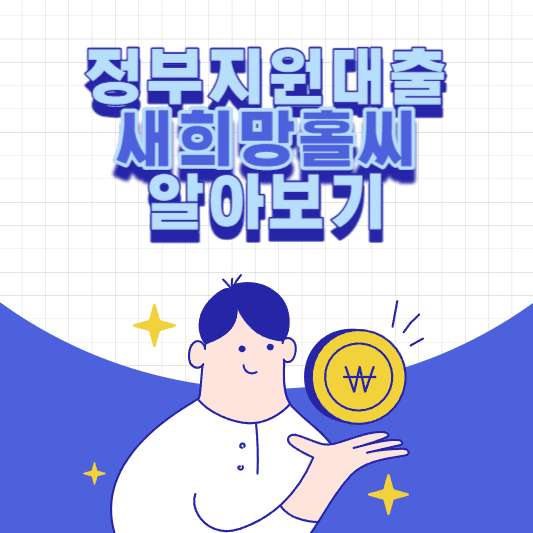 정부지원대출 새희망홀씨 새희망홀씨2 대출 조건 비교 알아보기 썸네일 사진