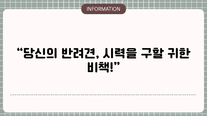 애견 백내장 안약: 반려동물 치료 옵션