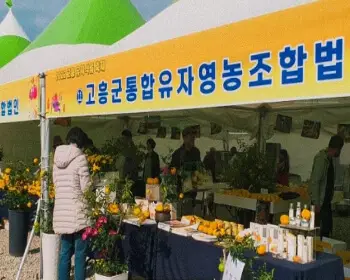 고흥 유자축제_25