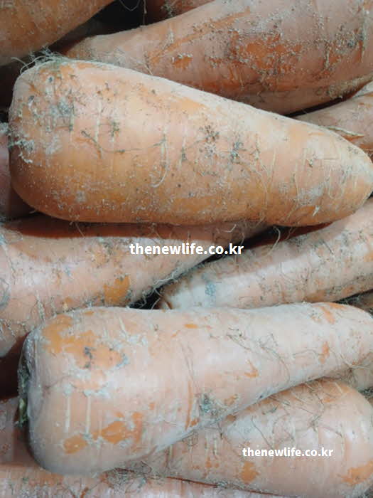 당근 효능 혈압 조절에 필수적인 칼륨