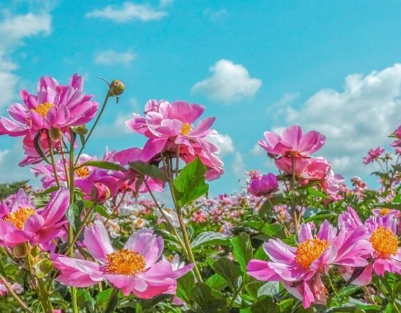 임실 가볼만한곳 베스트 10