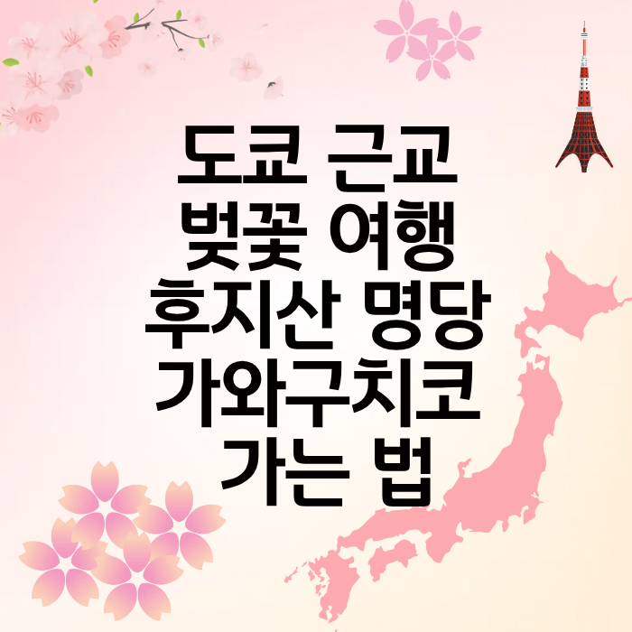 도쿄 근교 벚꽃 여행 후지산 명당 가와구치코 가는 법