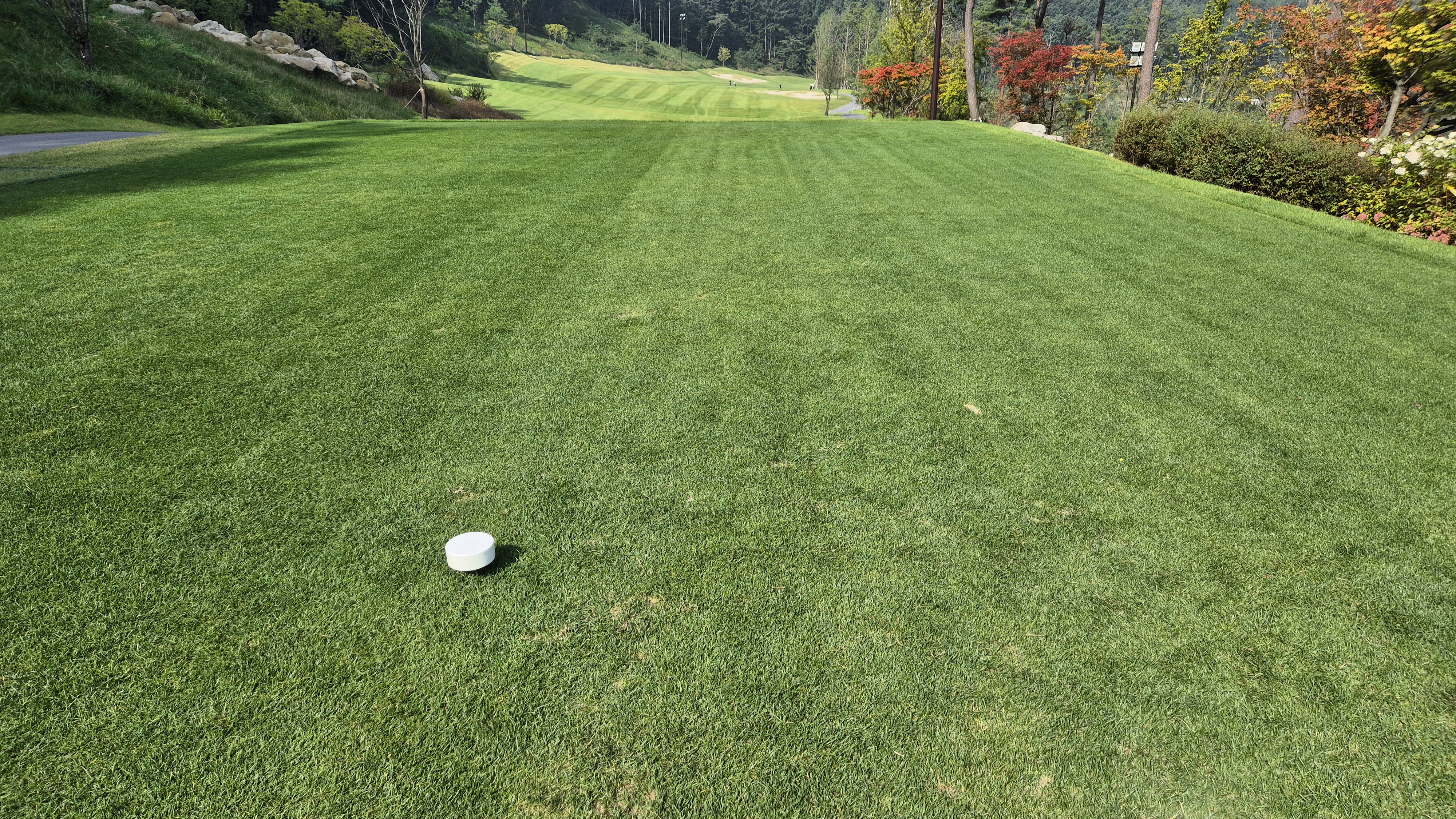 오로라cc 티잉구역 상태