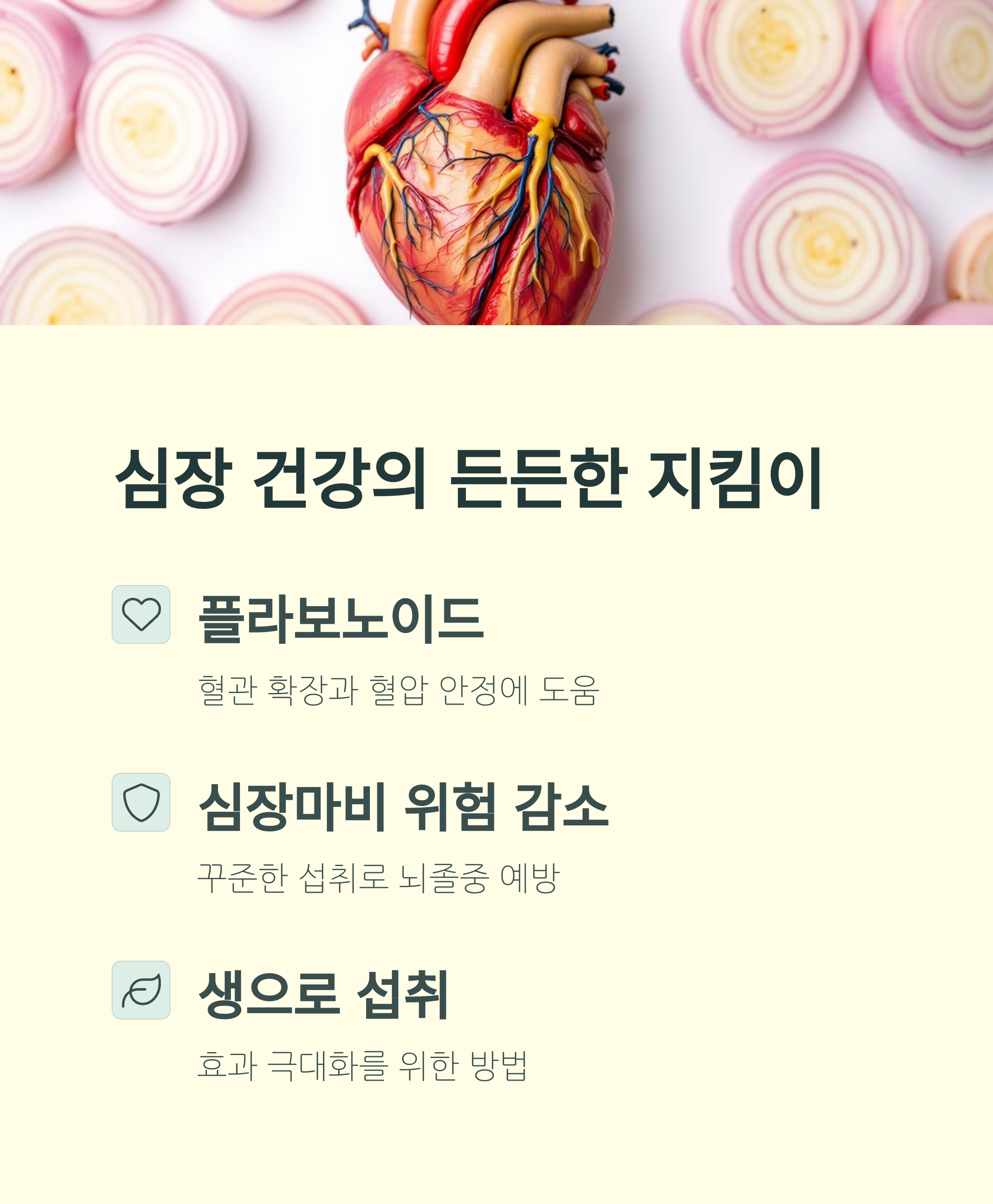 양파는 심장 건강의 든든한 지킴이