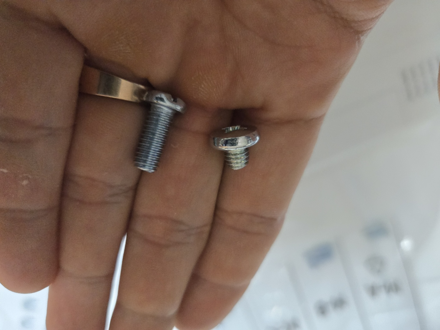 손바닥-나사-두개