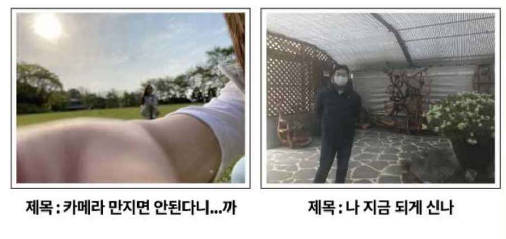 베어트리파크 철쭉제 봄과 철쭉