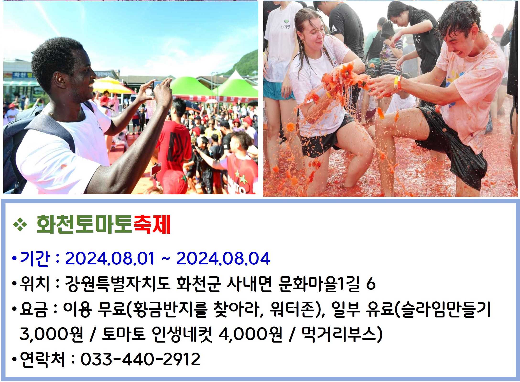 화천토마토축제