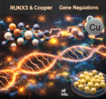 구리 - 산화&middot;환원 반응