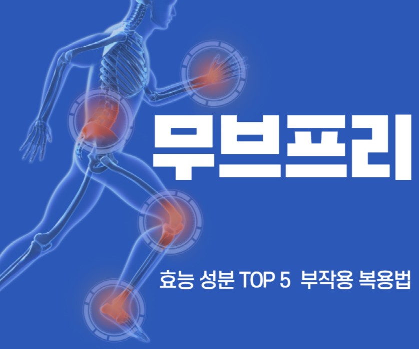 뼈로-보여지는-인체-그림과-관절을-강조하고-있는-그림입니다.-그리고-무브프리의-효능-성분-TOP5,-부작용-복용법을-말하는-썸네일입니다.