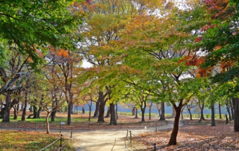 경주 가을 여행 가기