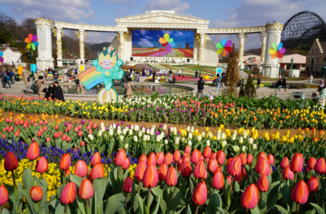 2025년 에버랜드 튤립축제