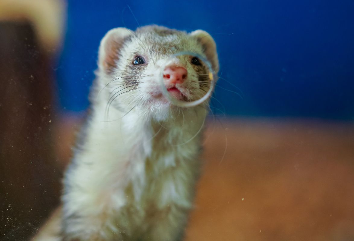 쥬라리움 파주점