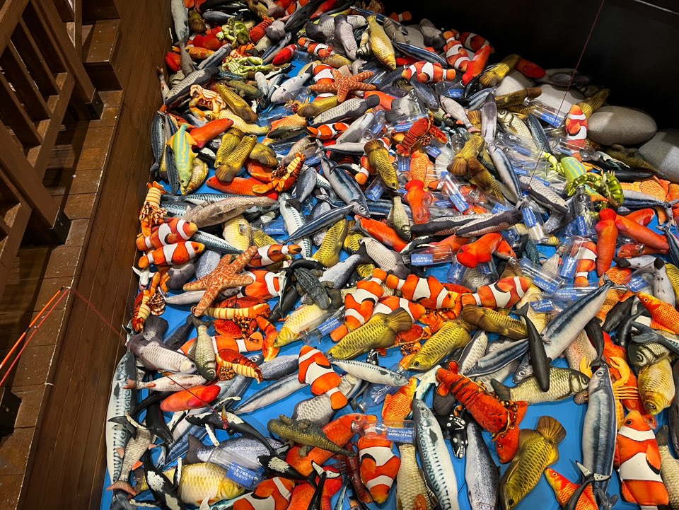 워너두칠드런스뮤지엄