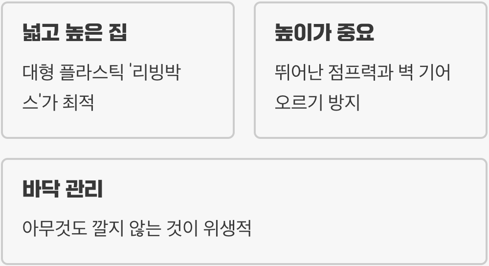 꼬물이들의 스위트홈, 넓고 높은 아파트