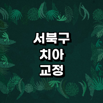 천안 서북구 교정 치과