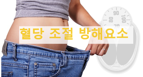 혈당조절방해요소