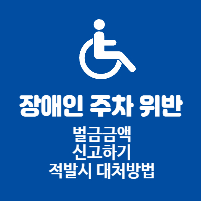 장애인 주차 구역 위반