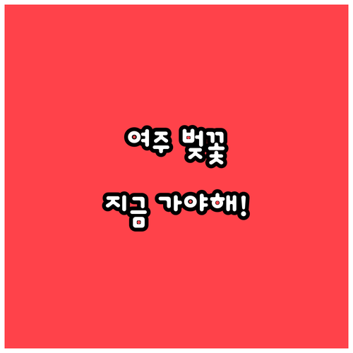 여주 벚꽃 개화 현황과 남한강 드라이..