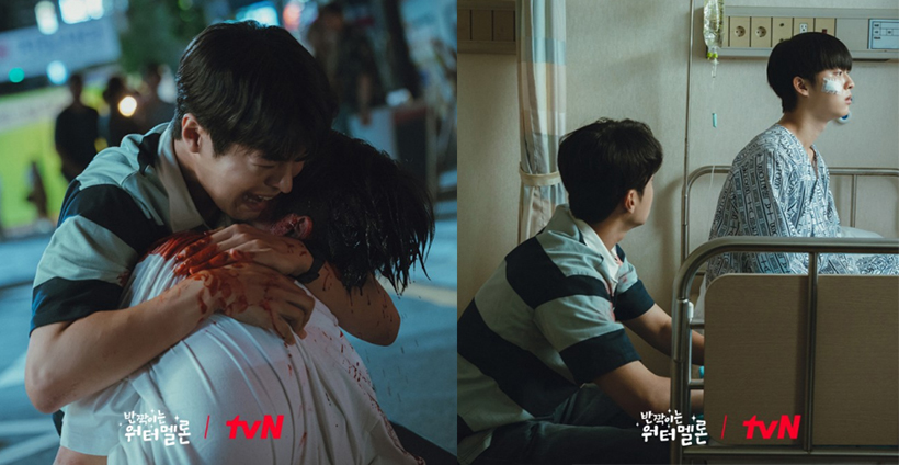 반짝이는-워터멜론-스틸컷13