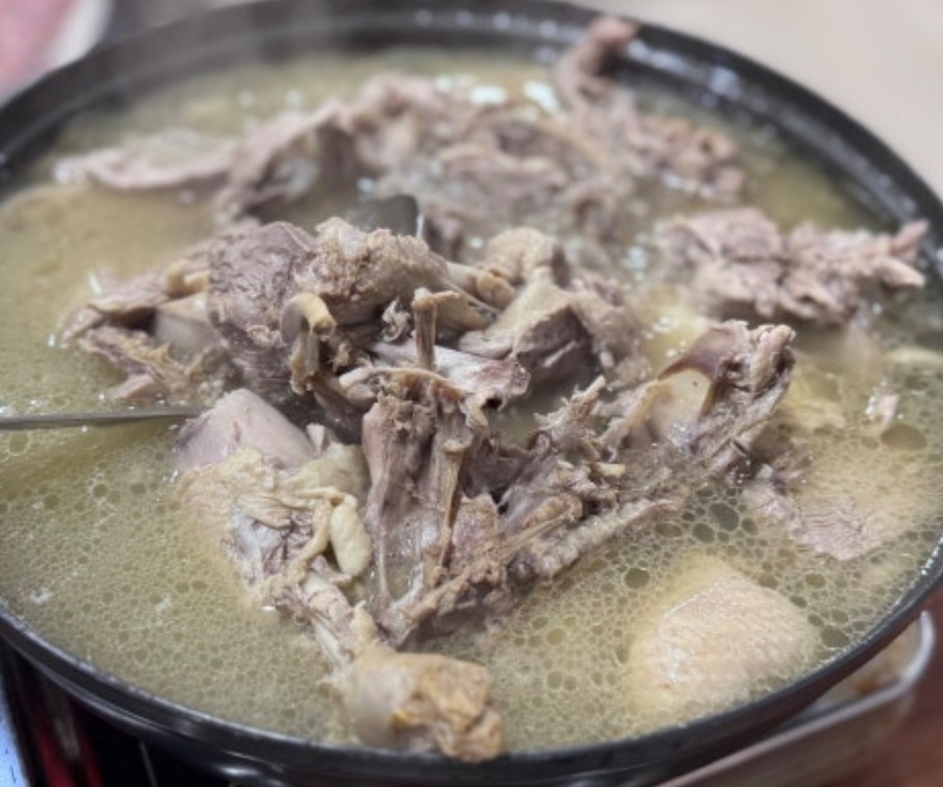 백반기행-논산-노포-구지뽕나무백숙