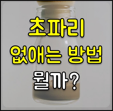 초파리-없애는-방법-썸네일