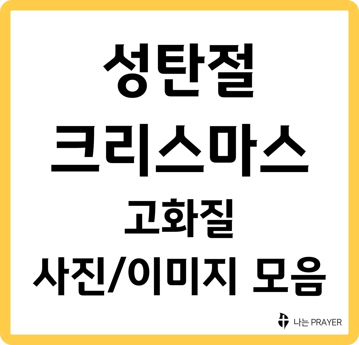 성탄절-크리스마스-고화질-사진-이미지-모음