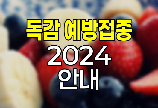 2024년 독감 예방접종 시기와 대상자별 무료접종 안내