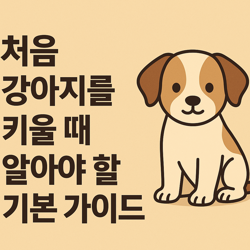 초보 반려인 - 사진