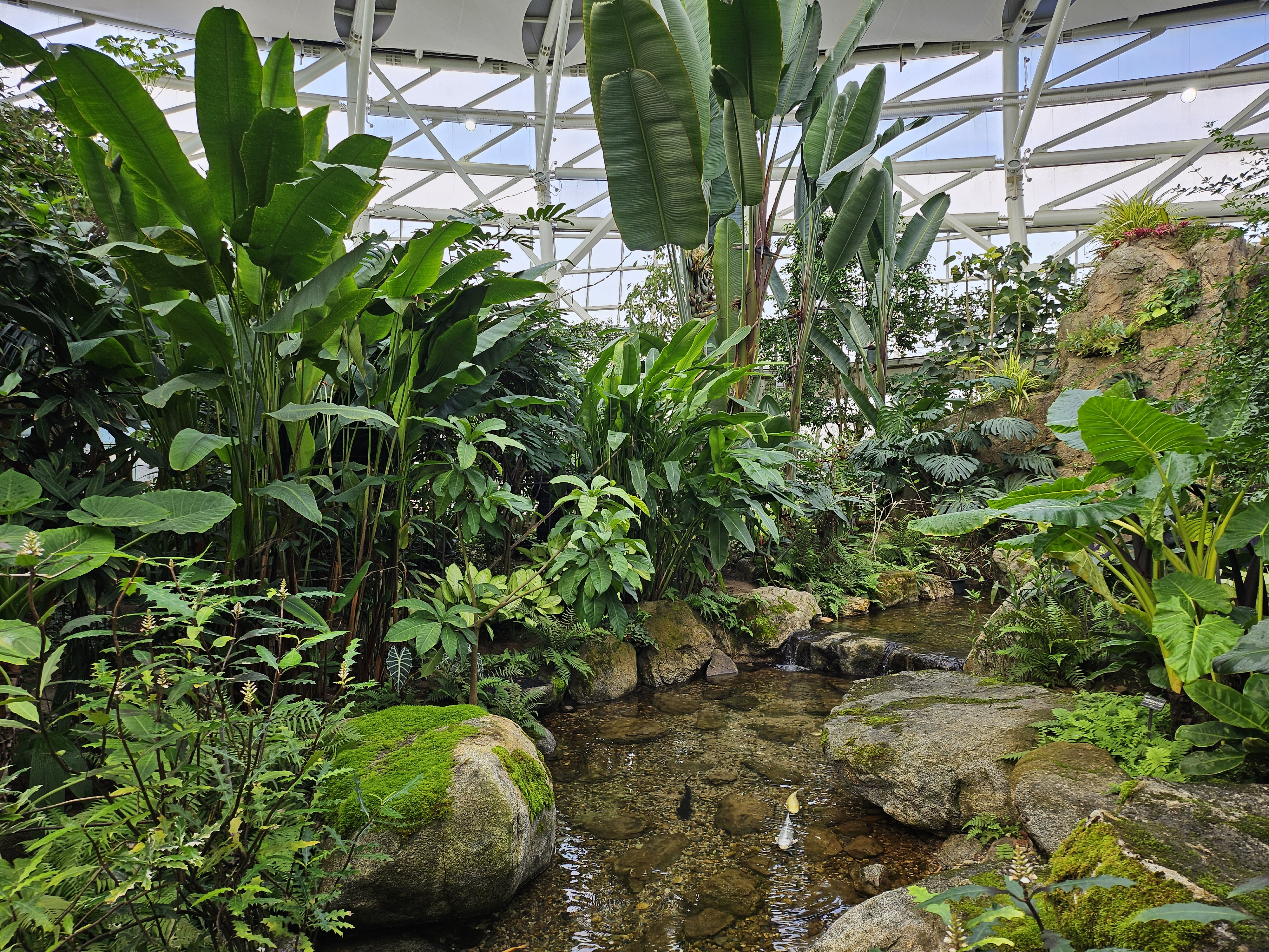 겨울 실내 아이와 가볼만한곳 부천호수공원 식물원 수피아