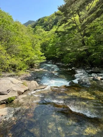 관악산 등산코스 계곡 학바위능선 연주대 사당능선 총정리_15