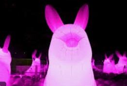 제주 2박 3일 핫플레이스