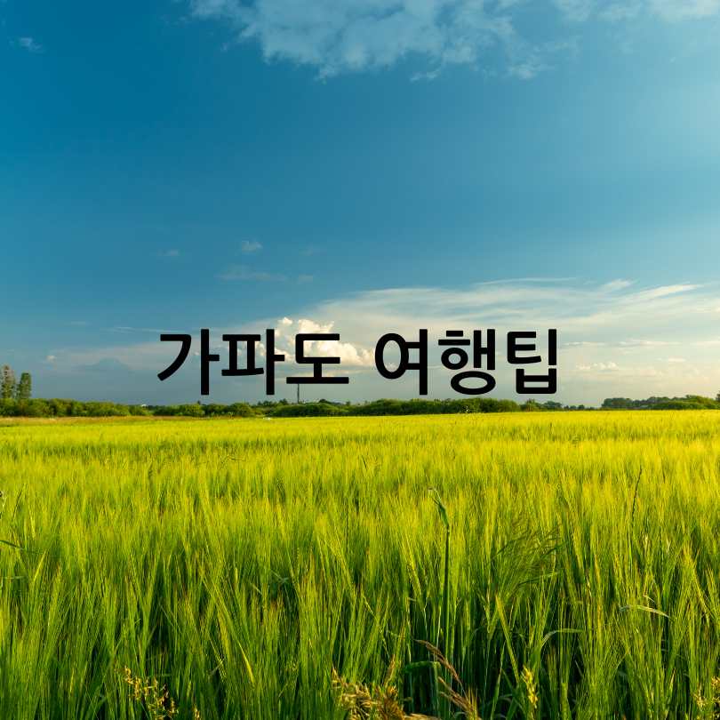 가파도 청보리축제