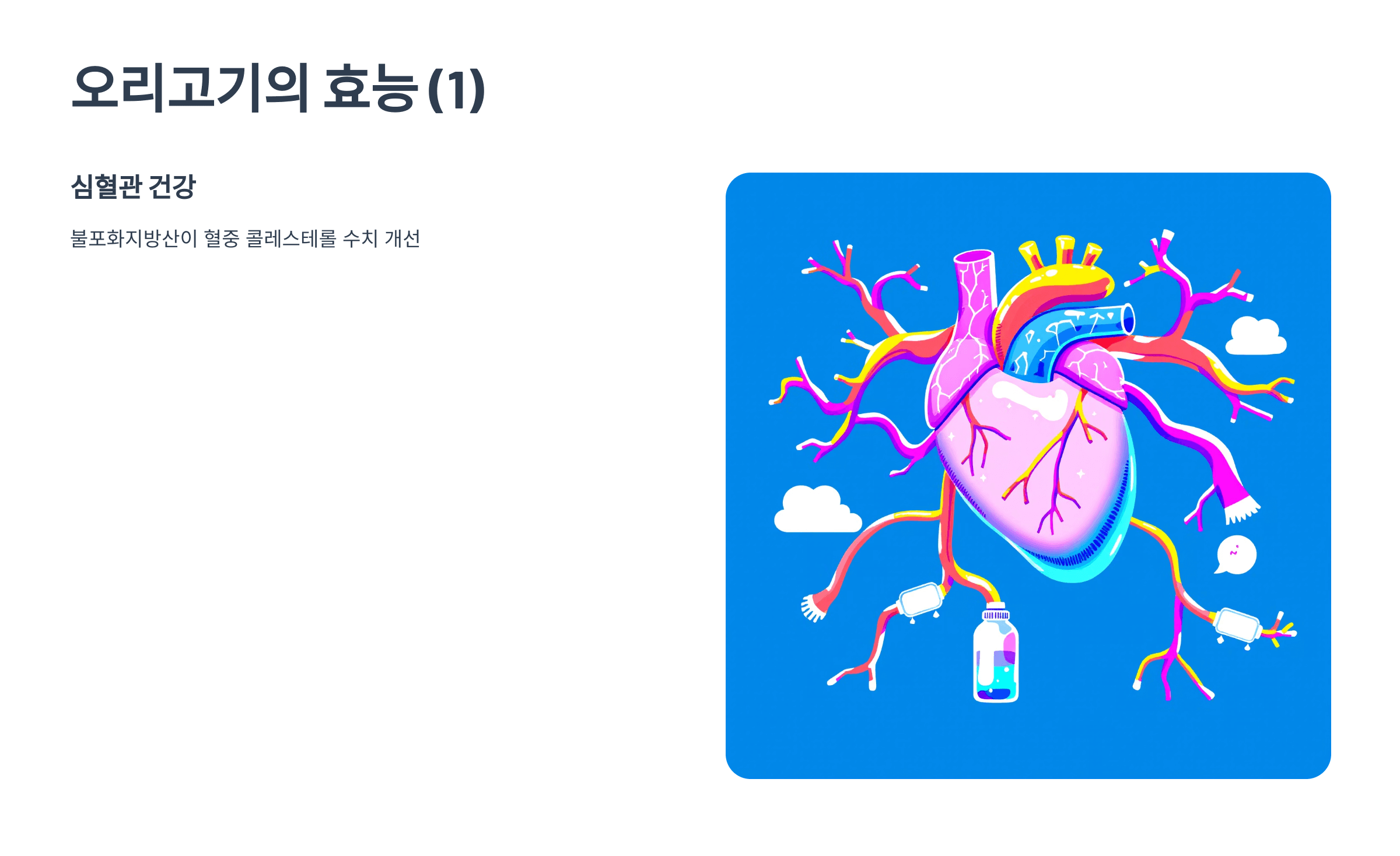 오리 사진입니다.