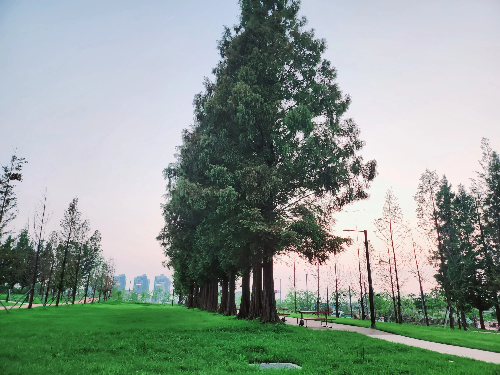 관다신약 임술일주에게 좋은 나무가 많은 장소