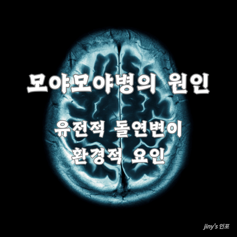 모야모야병