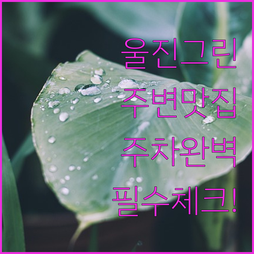 경북 울진 그린 숙소 주변 맛집과 주..