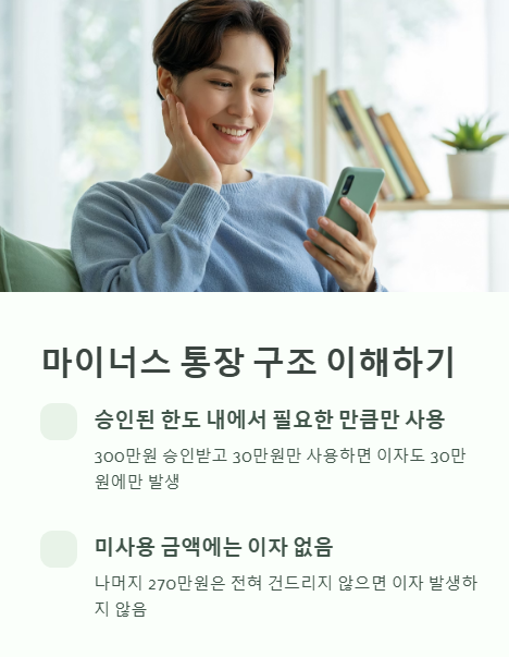 마이너스 통장 구조 이해하기